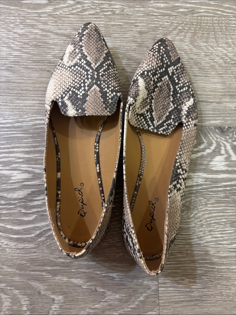 Qupid Snake-Print Pointed-Toe Flats in Taupe and Black